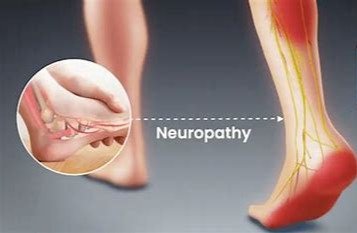 Supports healthy nerve regeneration and function